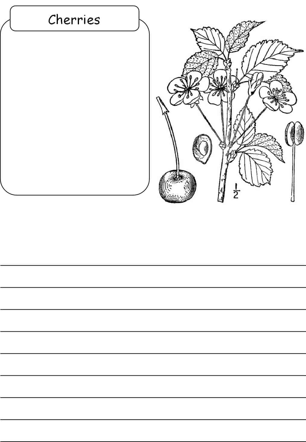 cherries-notebooking-page