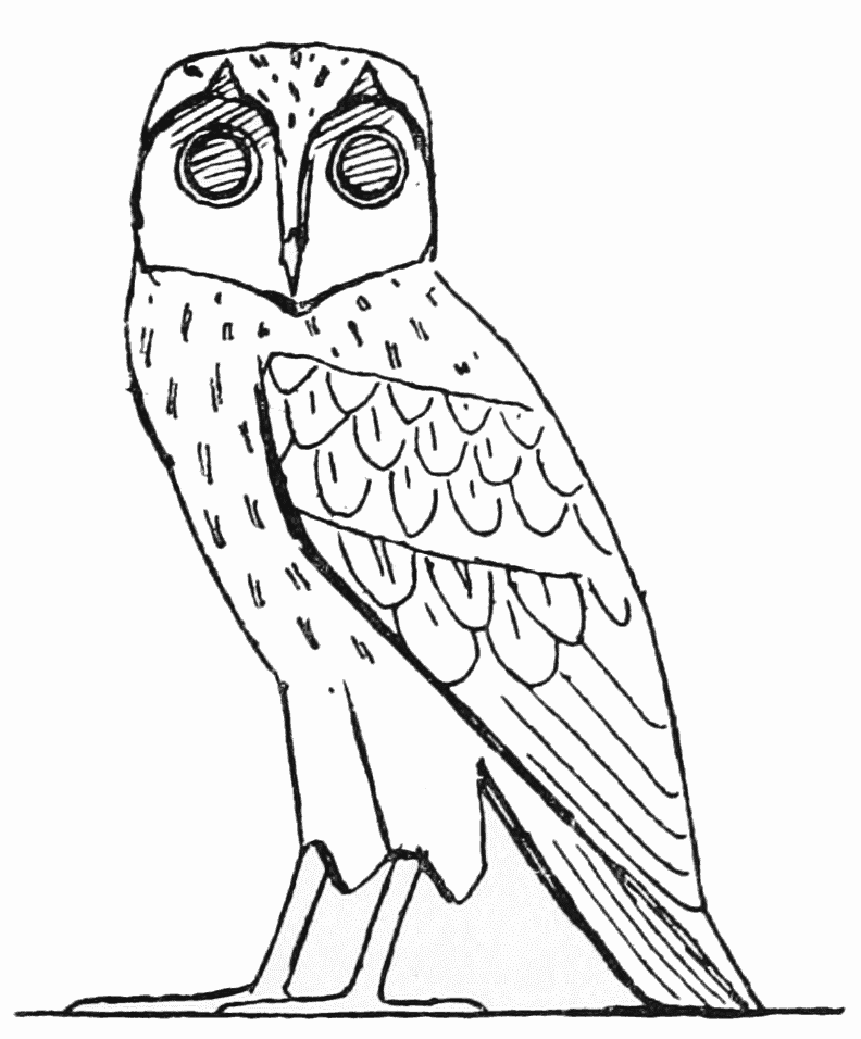 ancient-barn-owl-drawing