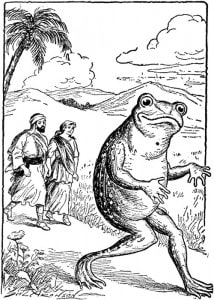 giant-frog-214x300