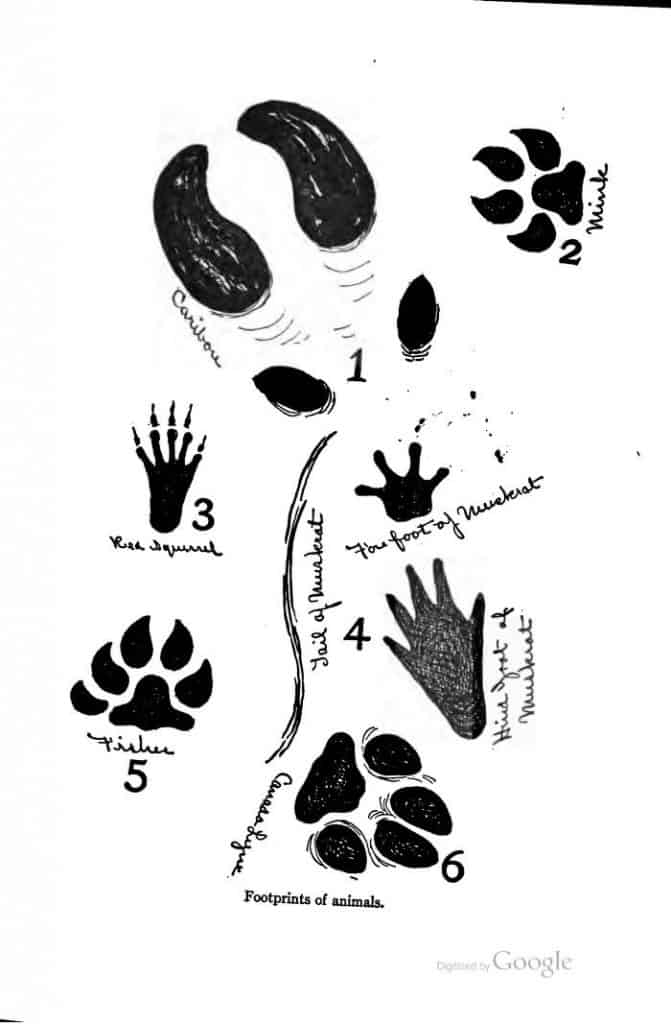 on-the-trail-footprints-671x1024