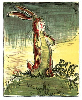 velveteen-rabbit