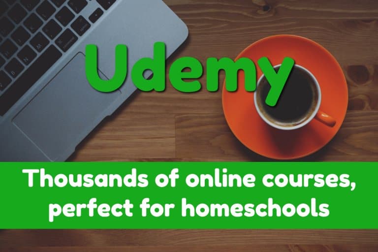 Udemy classes for high school and middle school