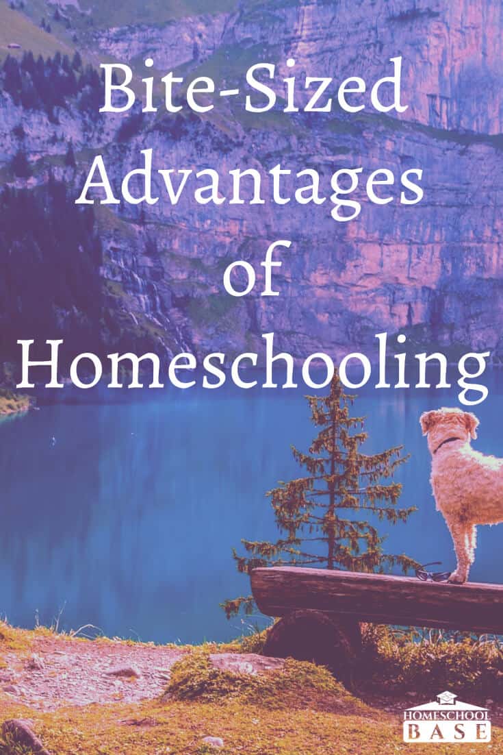 Advantages of Homeschooling