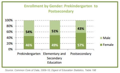 Public school enrollment data by gender