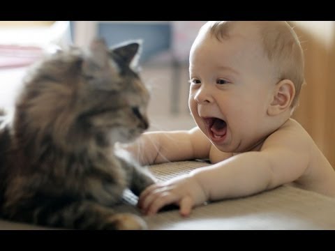 A baby screaming at a cat