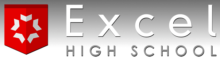 Excel Online high school