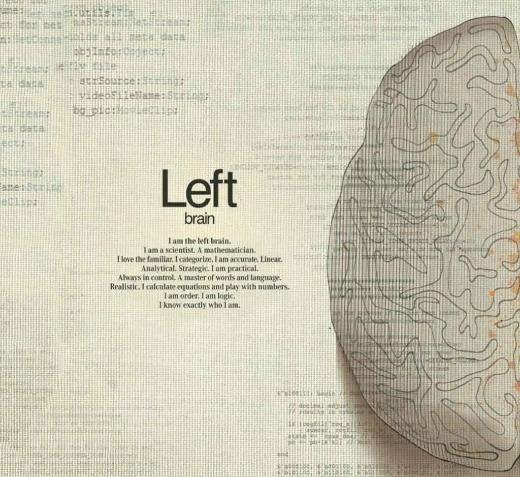 The left brain handles mathematical thinking