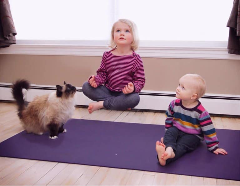Two blonde homeschool girls doing yoga on a mat