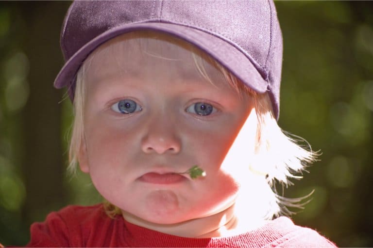 A child with something in his mouth for chewing