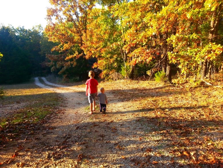 Boys Walking Through Nature, Hand in Hand