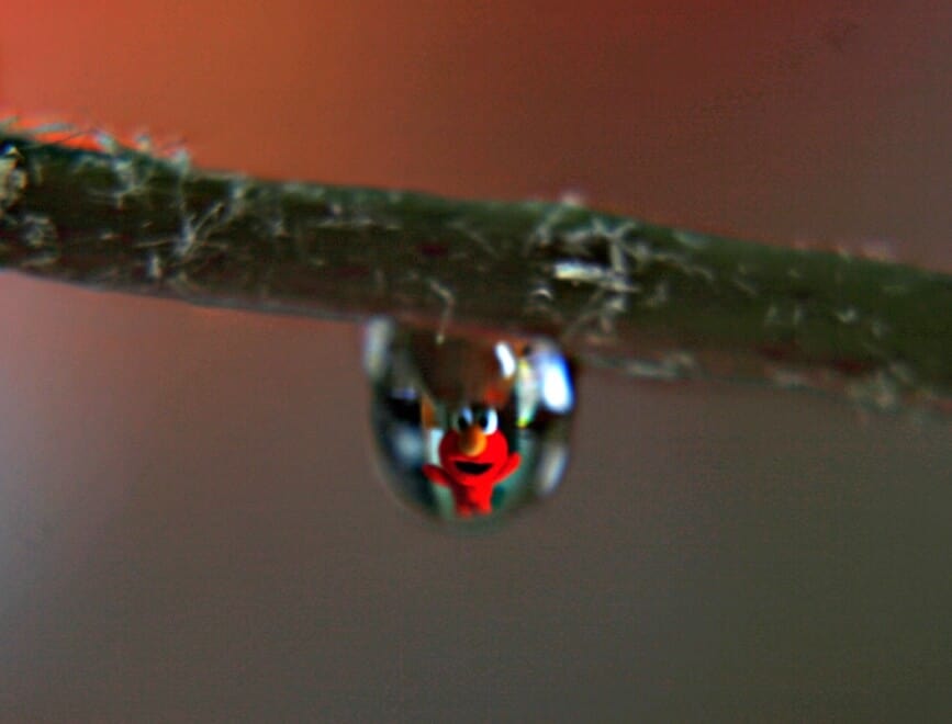 Water Droplet with Toy Reflection