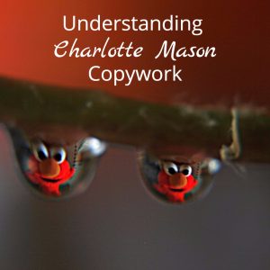 Waterdrops of Copywork