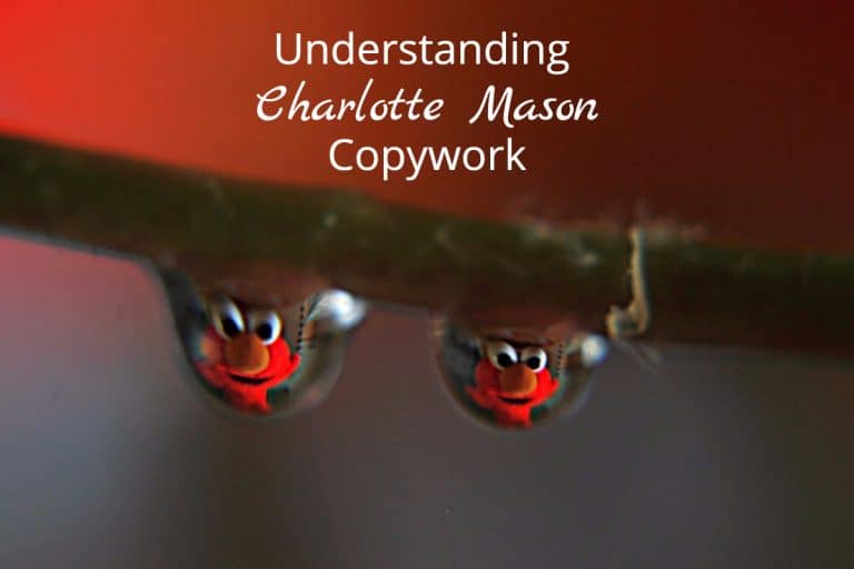 Waterdrops of Copywork