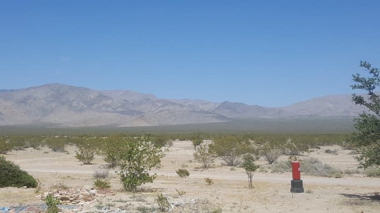 What nature looks like in the desert