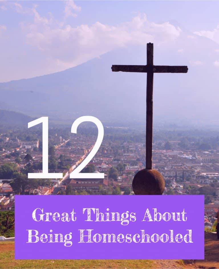 A homeschooler recounts her 12 favorite things about her homeschooling experience