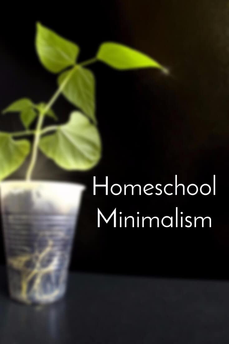 Homeschool Minimalism