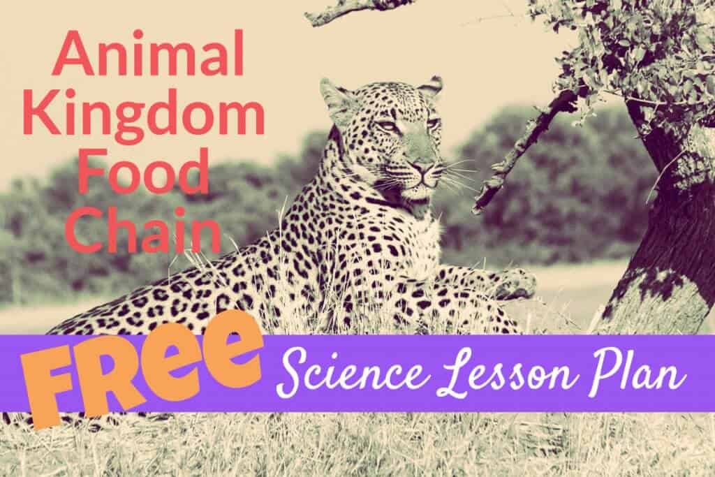Free Homeschool Science Lesson Plan Animal Kingdom Food Chain