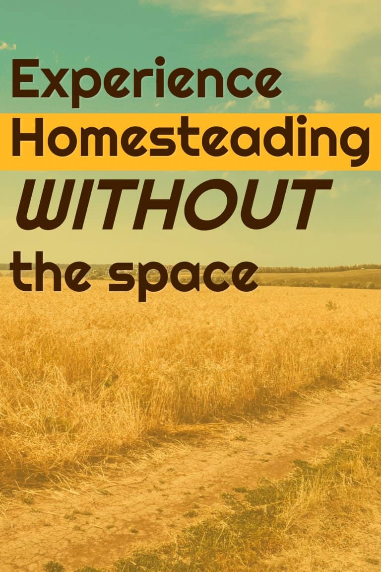 Experience homesteading without the space
