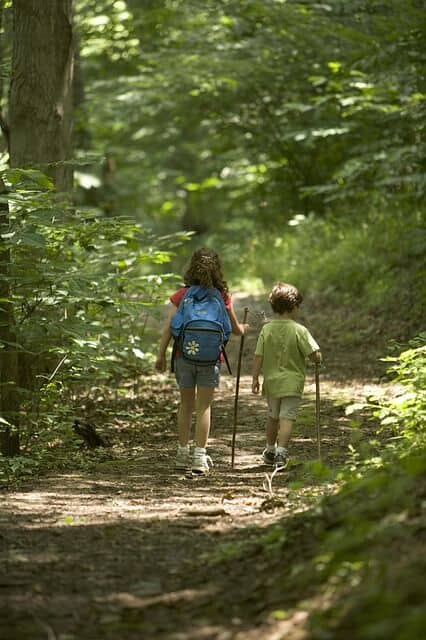 Two children hiking a trail